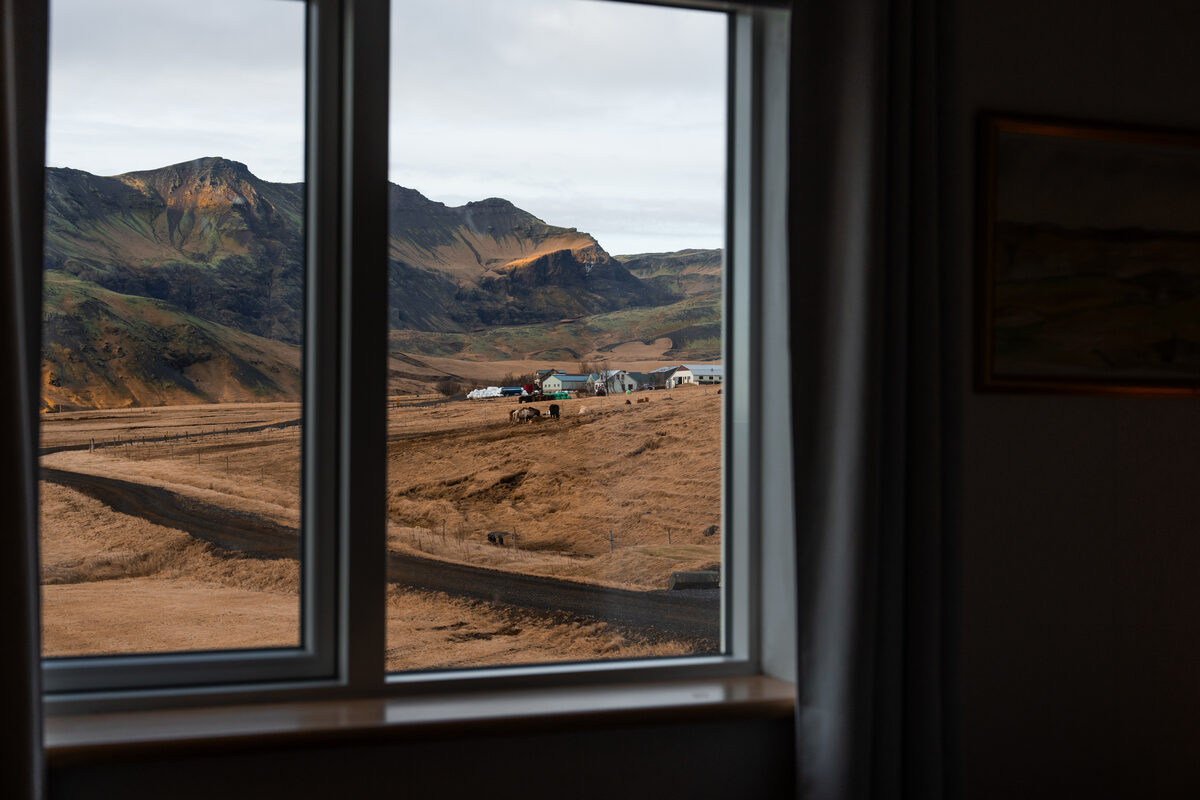 Mountains and horses